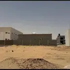 سلعة