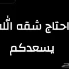 احتاج شقه غرفتين او استديو غير مؤثثه
