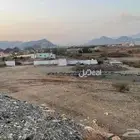 مزرعه للبيع