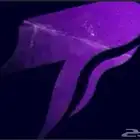 حساب بوليتو خبره عاليه وقوي