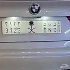 لوحة شبه مميزة بشعار سيفين ونخلة
