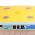 الله يحيي الجميع فقاسه 60 بيضه سليمه مابها شي السعر 300ريال