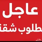 مطلوب شقه