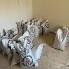 بذار بارسيم