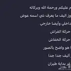 طير روز
