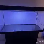 aquarium for sale