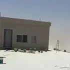 القصيم
