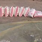 تمور برنية للبيع للحلال فقط