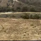 مزرعه للايجار