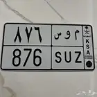 لوحة موس 876