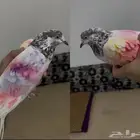 حمام باكستاني