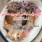 بكج القطط سعر جملة توصيل مجاني الى جميع مناطق المملكة
