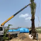 ونش كرين هيدرروليك سله لرفع العمال ورفع جميع المعدات