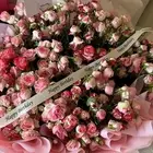 مندوب ابها وخميس مشيط والقرى