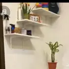 رفوف جدارية