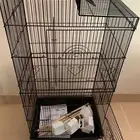 قفص طيور كبير جديد فيه ملاحظه