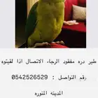 مفقود طائر الدره