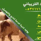 يتوفر ذبايح
