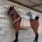 حصان واهو
