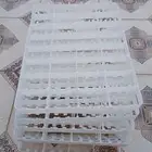 شبك بيض للوز والبط