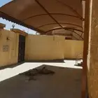 مضلاه فرنسي
