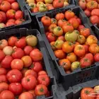 طماط محمي فاخر