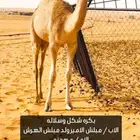 بكره شكل. وسلاله