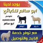 ذبايح حري وسط وكبير شامل الذبح والتوصيل