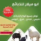 ذبيحتك لباب بيتك