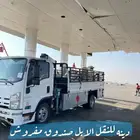 دينا للنقل الابل