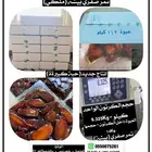 تمر صفري بيشه ملكي إنتاج جديد