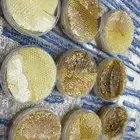 عسل انتاج جديد قتاد مع ظهيان. عسل حر مضمون