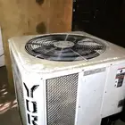 كمبروسر يورك فقط