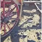 للبيع حناتير وعربة للمزارعين (كارو)