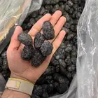 عجوه رطب ماشاء الله لينه و حبه كبيره حياكم باسعار الجمله
