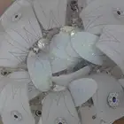 أنارة بلوتوث كبيرة للبيع