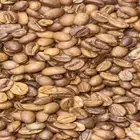 النهضه