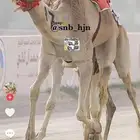 نقبل ودايع وتدريب عسايف فقط