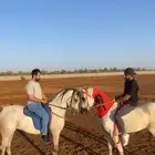 Equestrian .education