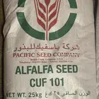 بذور برسيم CUF101 باسفيك الاصلي