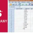 تحليل إحصائي احترافي SPSS وتدقيق لغوي عربي وE