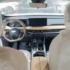 جيلي اوكافانجو 2025