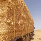 الدفع عند الاستلام