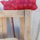 عرض خاص والكميه محدوده السعر2 ريال للتواصل واتس أب