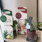 توزيعات يوم المعلم