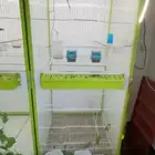 مطير ايتال جابي