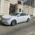 ساناتا 2013