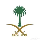 مطلوب شاحن هونر W66