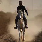 إيواء - تدريب - عسف