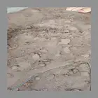 سماد دجاج بلدي صافي